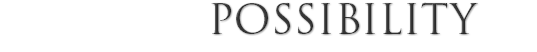  POSSIBILITY
